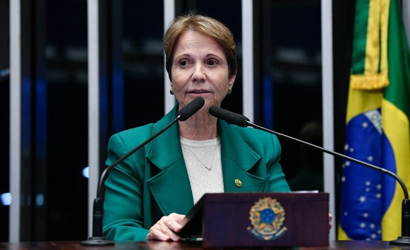tereza cristina