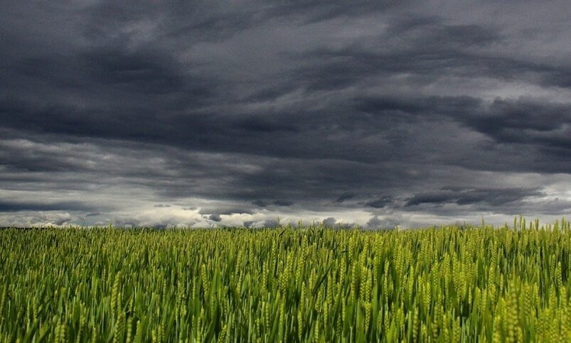 el niño ganha força, mas frio ainda avança pelo brasil
